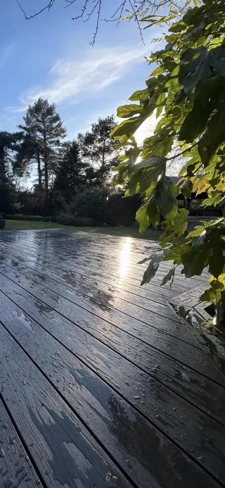 Low sun reflecting off dark decking boards in the early morning