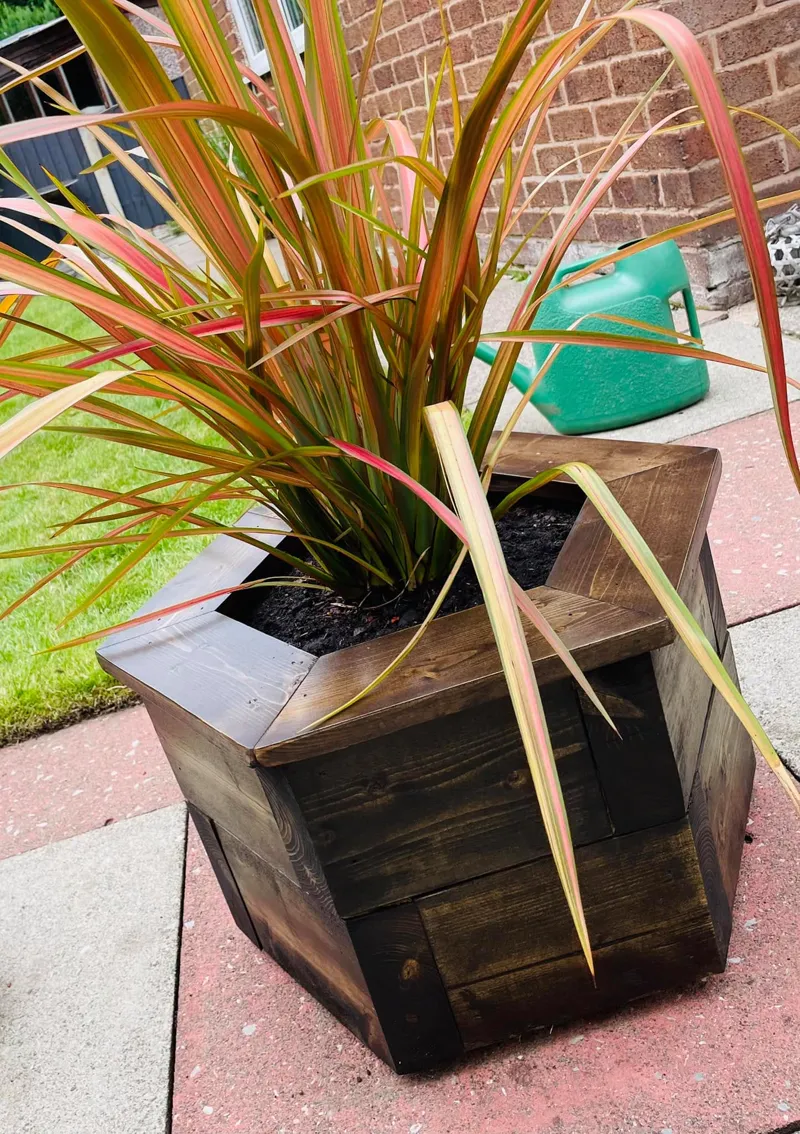 Dark-stained handmade hexagonal timber planter with phormium