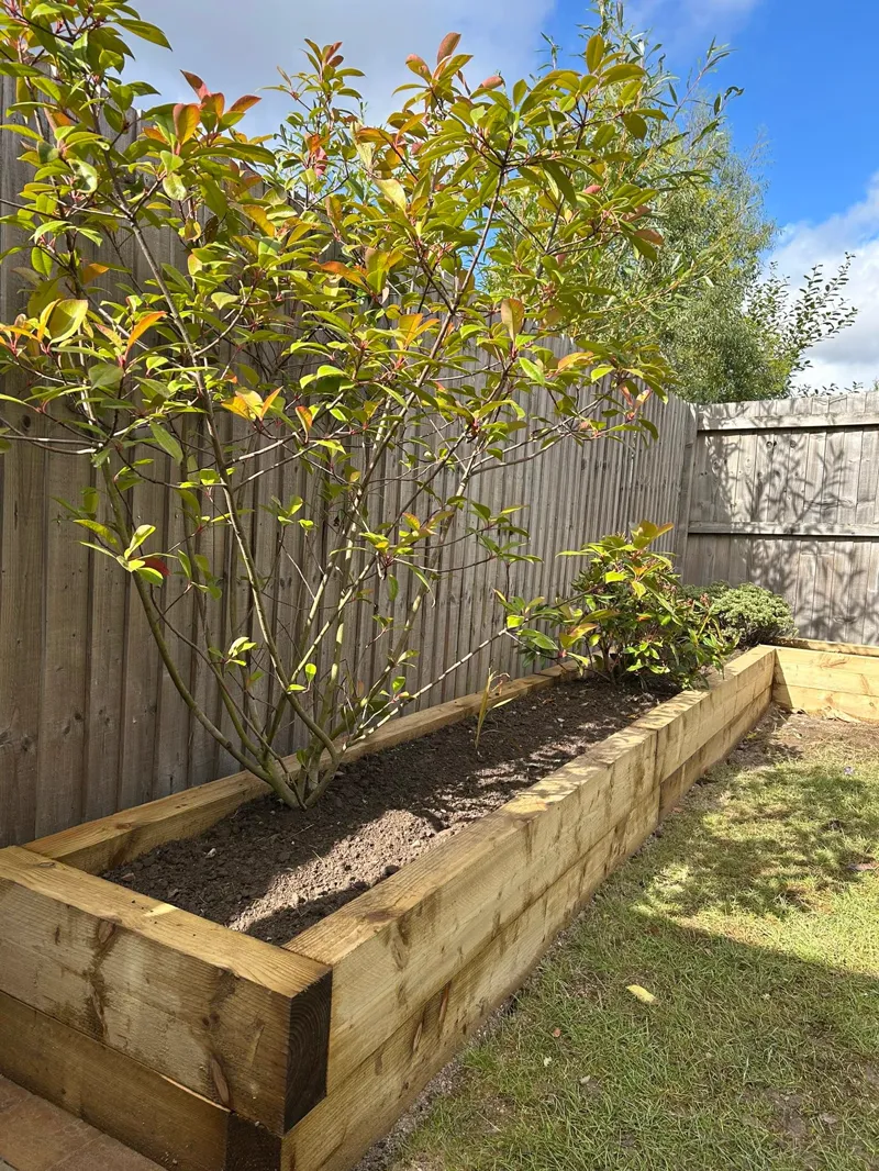 New timber sleeper raised bed planted along a fence line